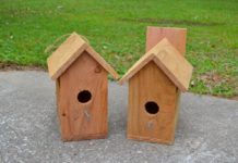 Birdhouse Tutorial